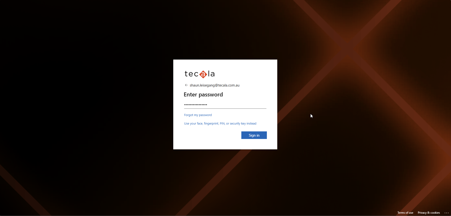 Password entered, ready to sign in